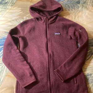 Patagonia Better Sweater Fleece Hoodie